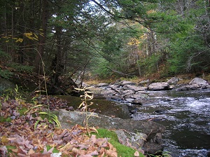 Home Care of Our Cabin Image